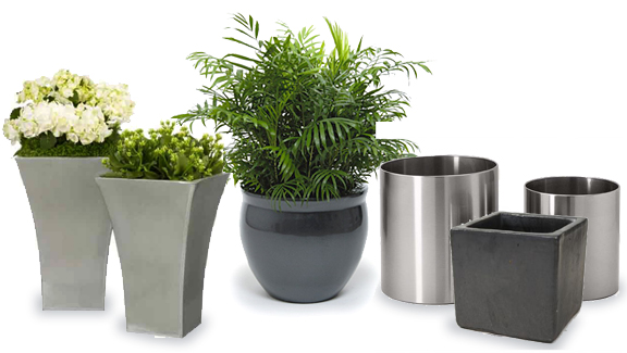 Office Plant Containers